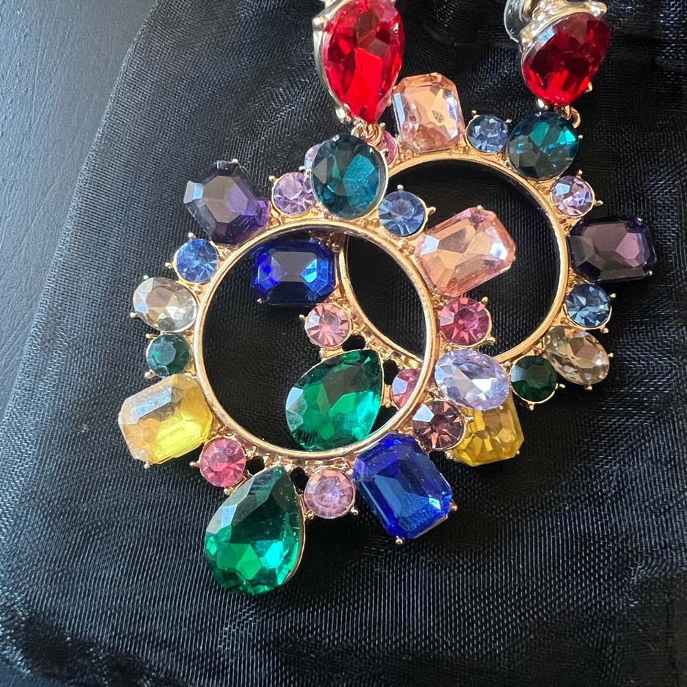 Taylor Swift Eras Tour Bejeweled Earrings!